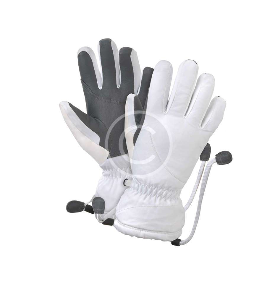 Ski Gloves